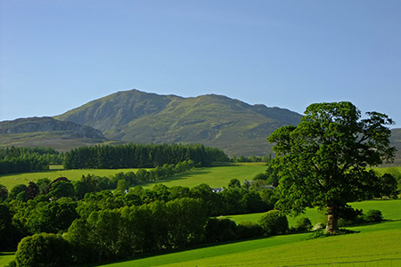Ben-Vrackie